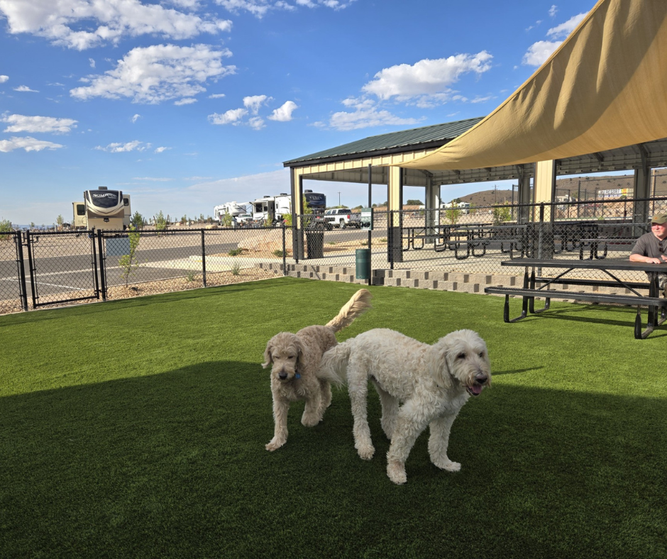 pet-sitting concierge service