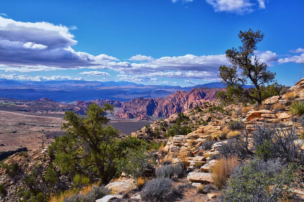 places to stay near st george utah