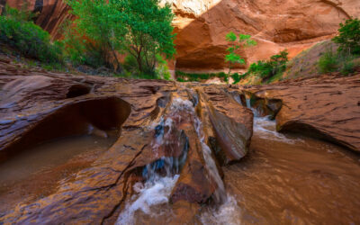 A Quick Guide to Toquerville Falls