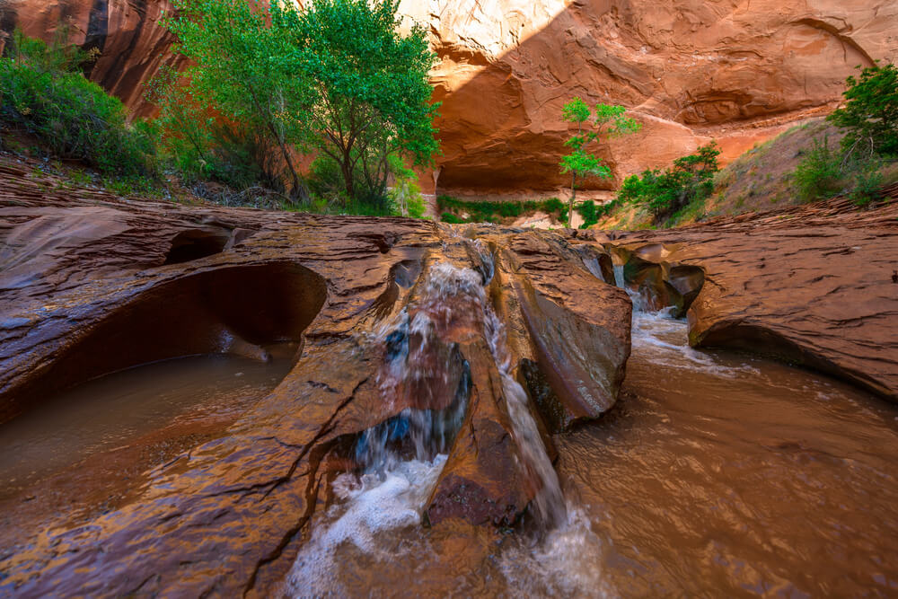 Here's a quick guide to the beautiful Toquerville Falls, located in the red rock country of Southern Utah.