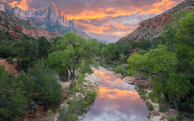 When Is the Best Time To Visit Utah’s National Parks? A Guide to Planning Your Trip