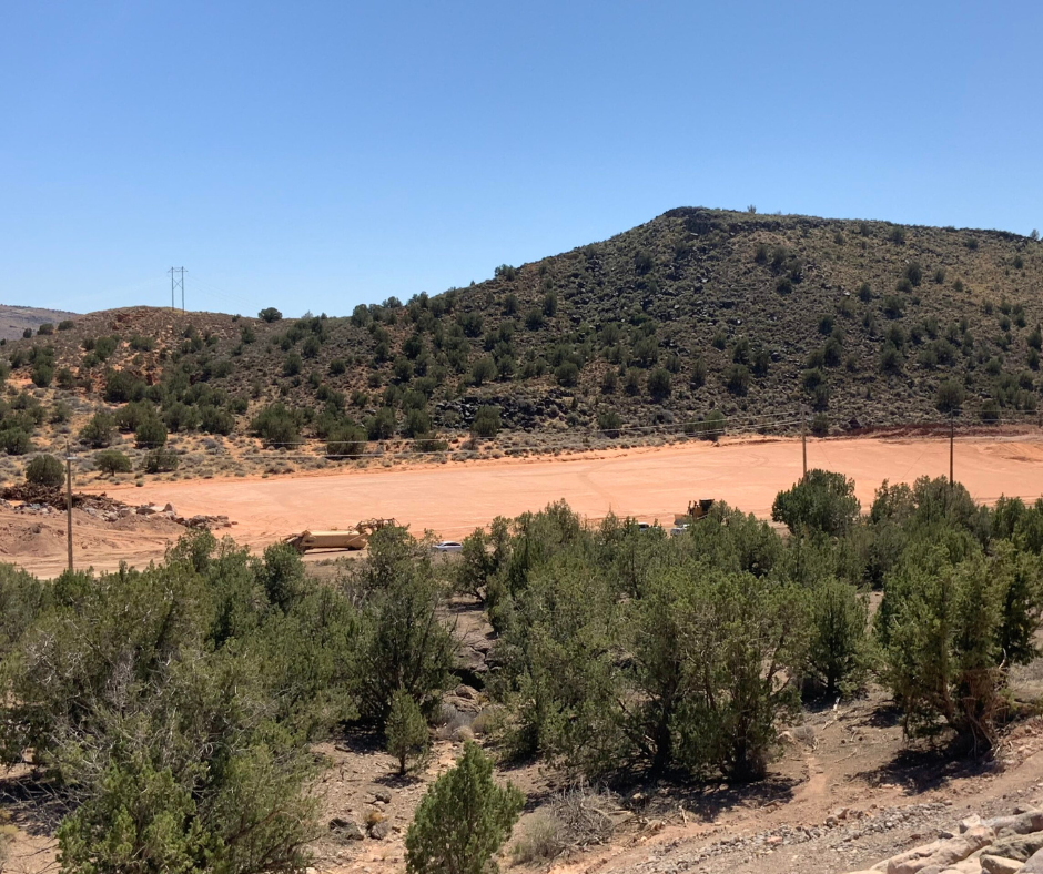 stargazing in the desert