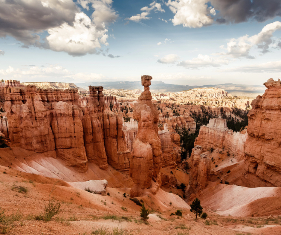 camping near zion national park observation point