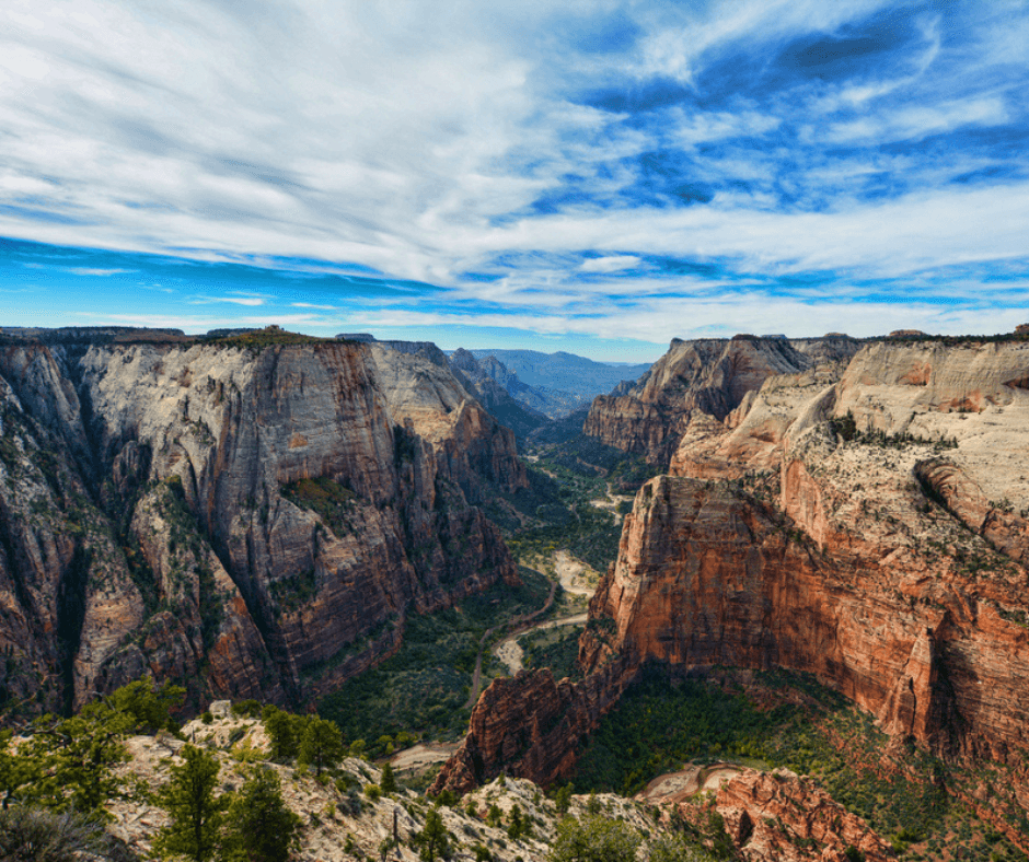 camping near zion national park observation point