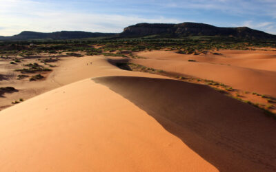 Is Visiting Coral Pink Sand Dunes Worth It?