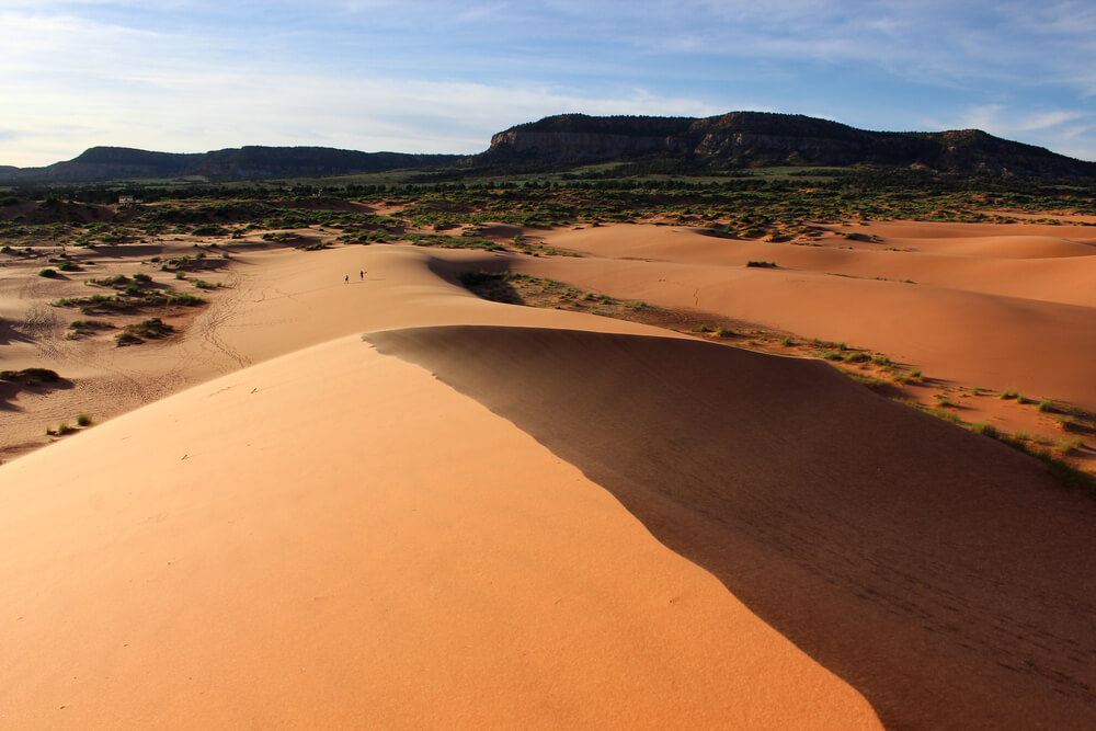 Is Coral Pink Sand Dunes worth it? Find out here.