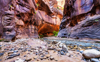 How Many Days Do You Need in Zion National Park for the Perfect Experience?
