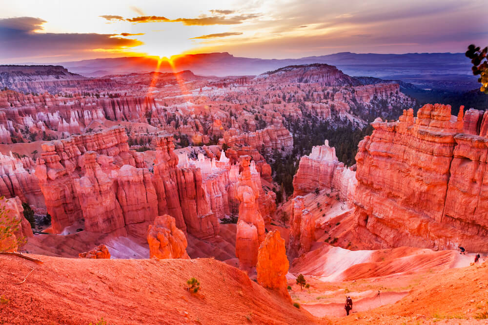 Bryce Canyon vs Zion - what to know about each park.