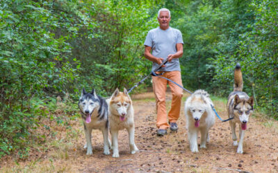 Dog-Friendly Hikes Near Zion National Park