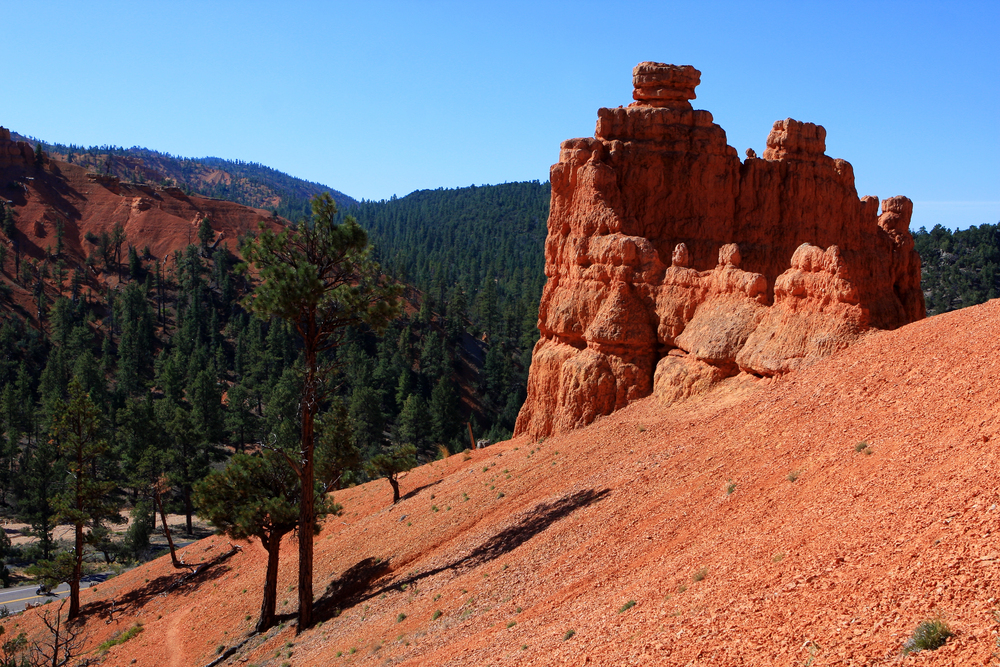 Dixie National Forest, near Settler's Junction RV park