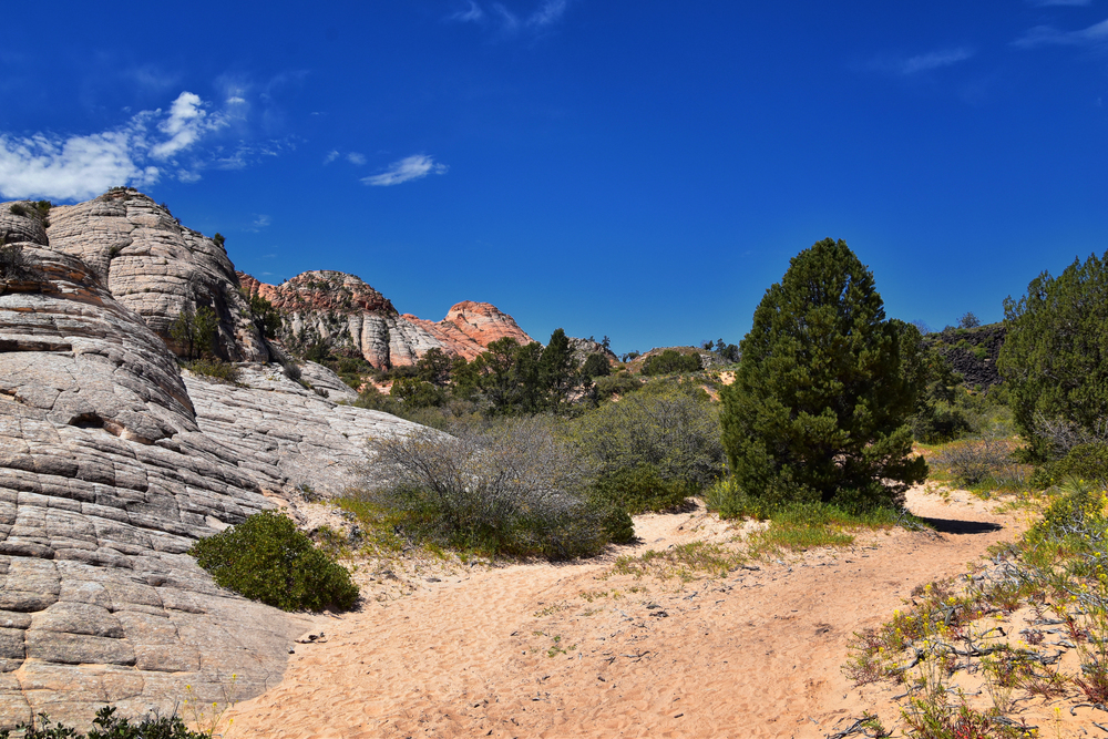 national conservation area in utah
