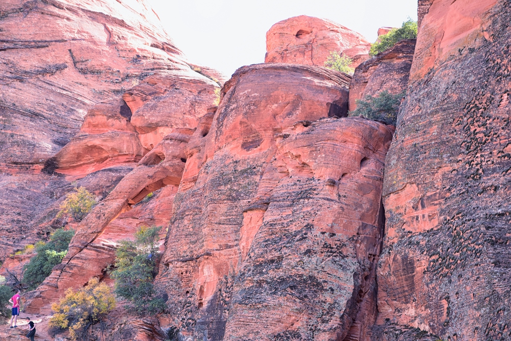 red cliffs national conservation area near settler's junction rv park