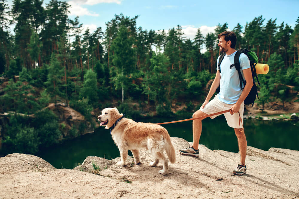 Are dogs allowed in Zion National Park? Here's what you should know.