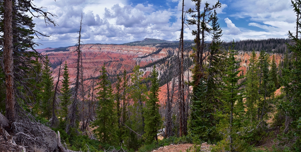 scenic overlook at Cedar Breaks National Monument