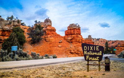 What To See in Dixie National Forest