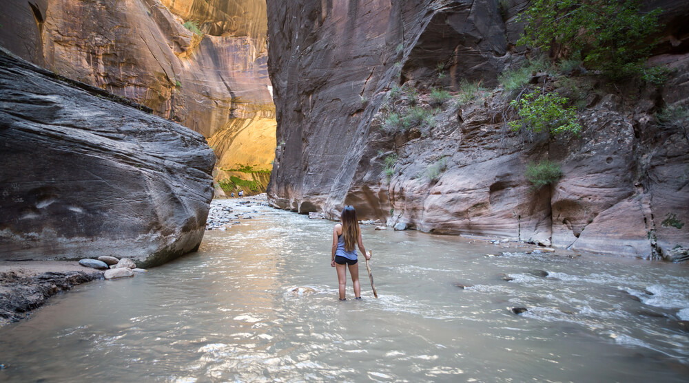 The Narrows is one of the best hikes in Zion National Park.