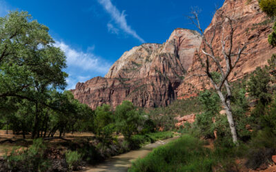 6 of the Best Hikes in Zion National Park