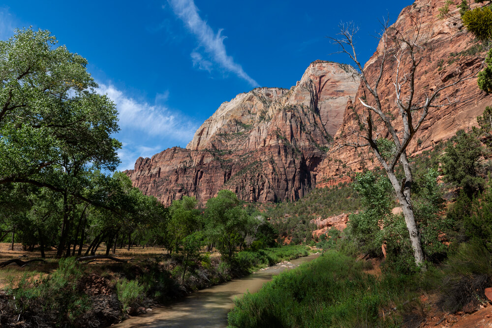 6 of the Best Hikes in Zion National Park