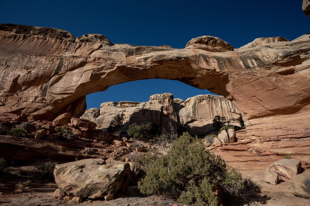 Hickman Bridge is about 3 hours from Settler's Junction in Capitol Reef National Park.