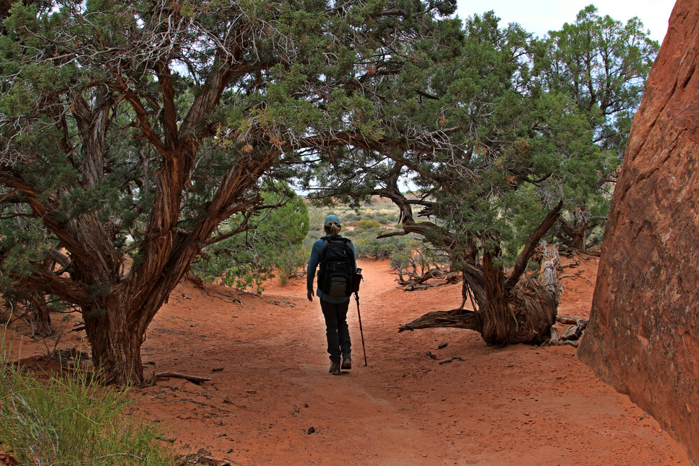 Southern Utah is beautiful all year, but spring and fall are the best times to visit.