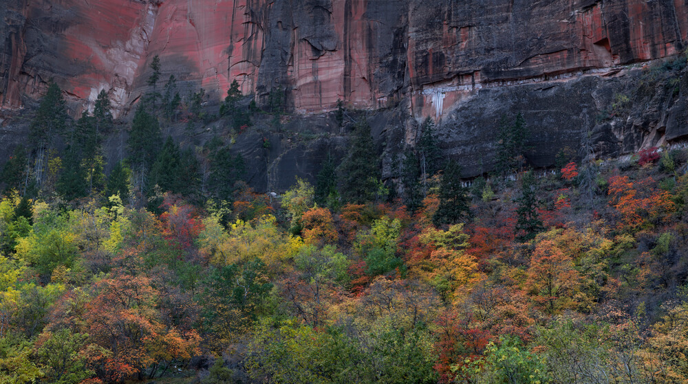 Fall is one of the best times to visit Southern Utah.