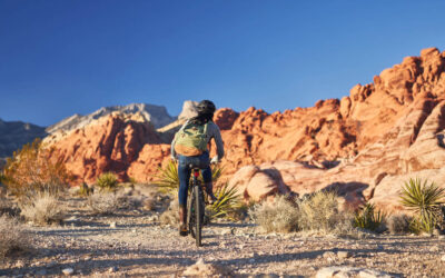 4 Bike Trails Near Zion National Park