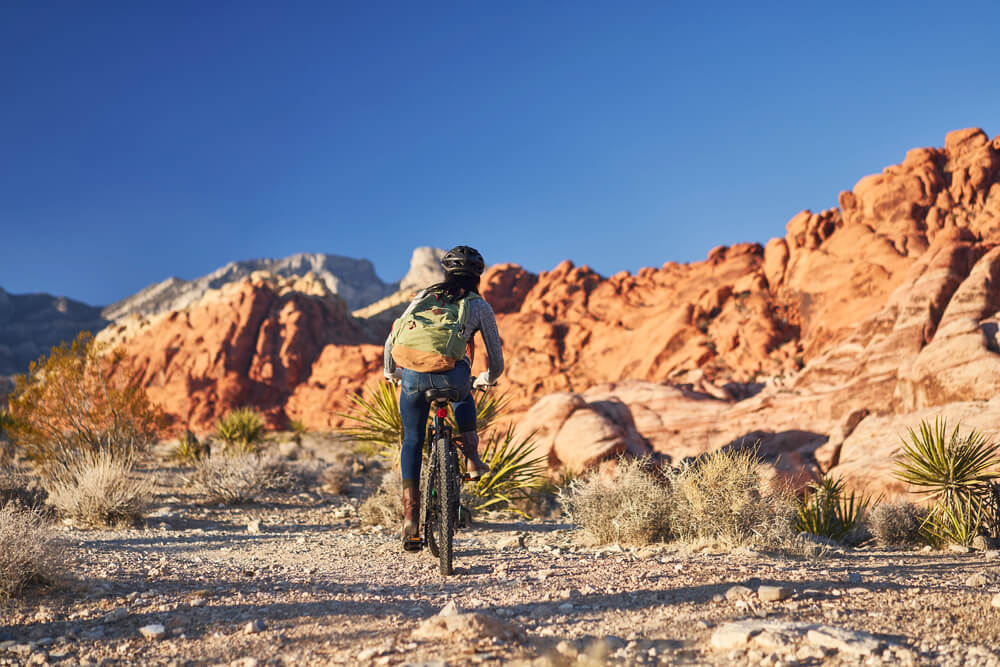 Here are 4 bike trails near Zion National Park.